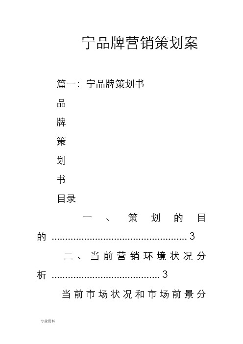 李宁品牌营销策划实施方案