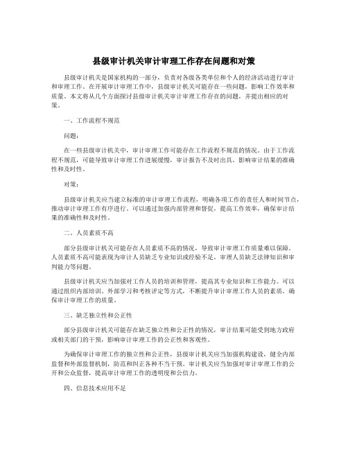 县级审计机关审计审理工作存在问题和对策