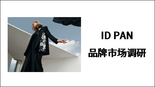 ID PAN品牌市场调研