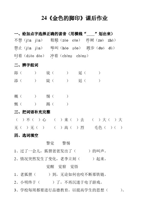 人教版六年级语文上册24《金色的脚印》课后作业