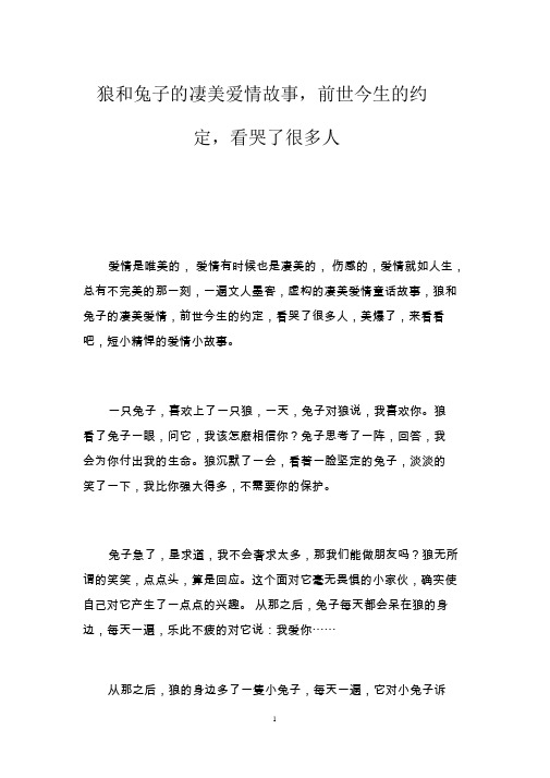 狼和兔子的凄美爱情故事,前世今生的约定,看哭了很多人