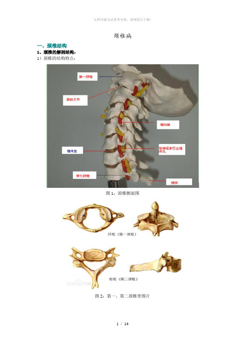 颈椎病内容整理(多图)