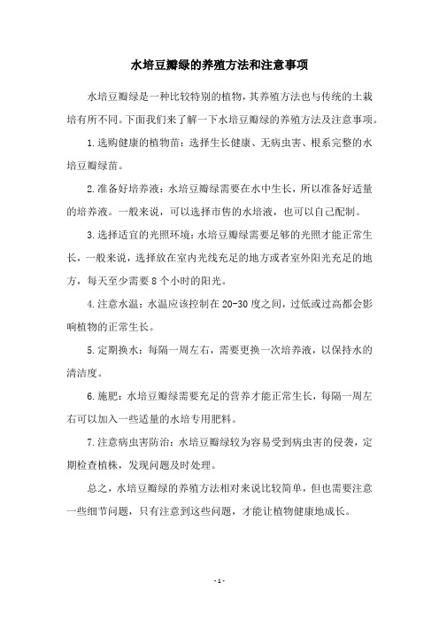 水培豆瓣绿的养殖方法和注意事项