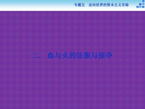 《优化方案》2014-2015学年高中历史(人民版必修2)配套课件5.2血与火的征服与掠夺