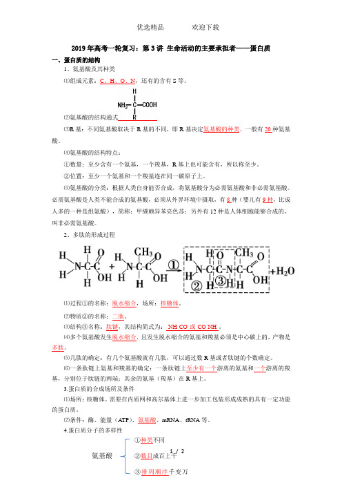 高考一轮复习：第3讲生命活动的主要承担者——蛋白质知识点梳理