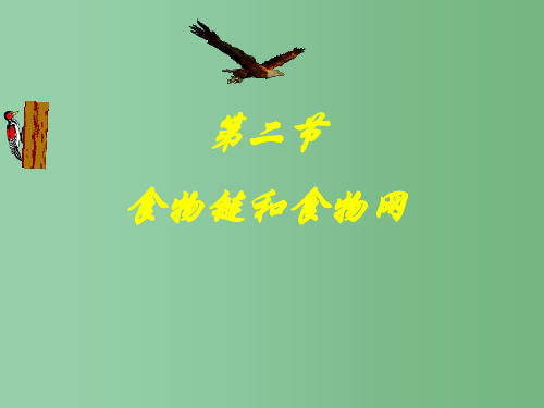 八年级生物下册 6.2.2 食物链课件 (新版)济南版