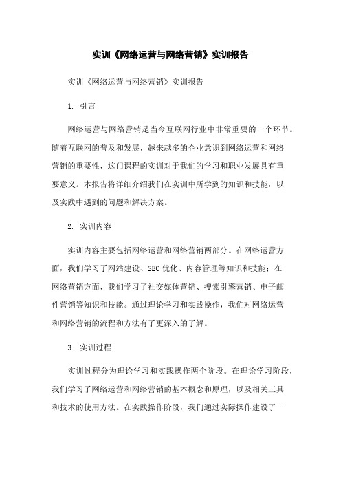 实训《网络运营与网络营销》实训报告