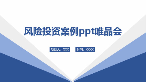 风险投资案例ppt唯品会