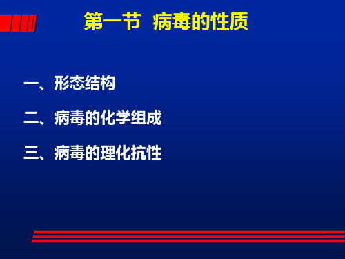 第三章病毒与亚病毒