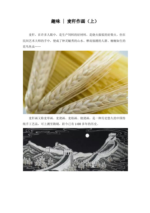 趣味：麦秆作画(上)