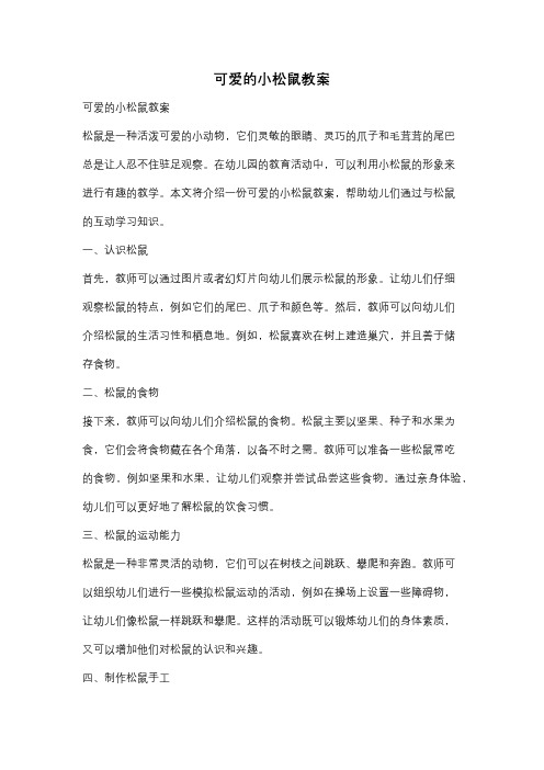 可爱的小松鼠教案