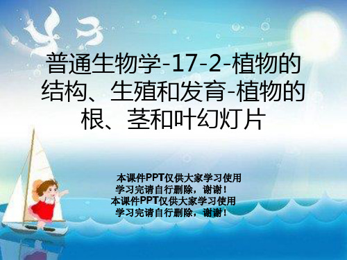 普通生物学-17-2-植物的结构、生殖和发育-植物的根、茎和叶幻灯片