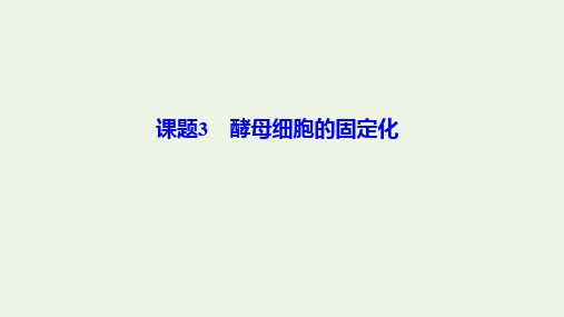 2019_2020学年高中生物专题4酶的研究与应用课题3酵母细胞的固定化课件新人教版选修1