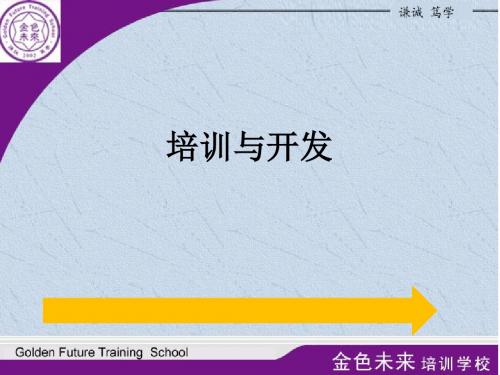 培训与开发 三级理论