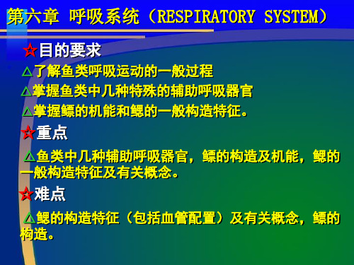 鱼类呼吸系统