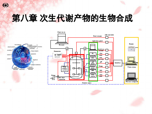 第八章 次生代谢产物的生物合成