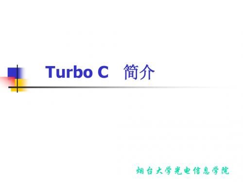 TurboC简介