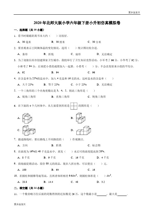 2020年小学数学六年级下册小升初仿真模拟卷4(北师大版含详解)