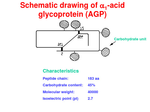 AGP手性柱应用实例