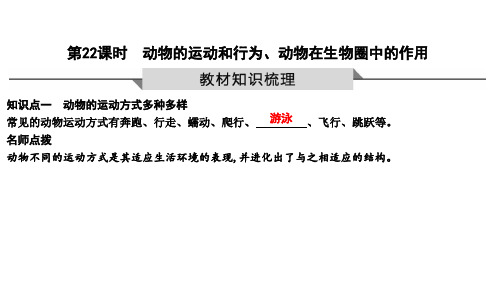 2023年生物中考一轮复习第22课时 动物的运动和行为、动物在生物圈中的作用(鲁科版)