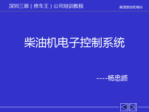 柴油机电子控制系统和原理