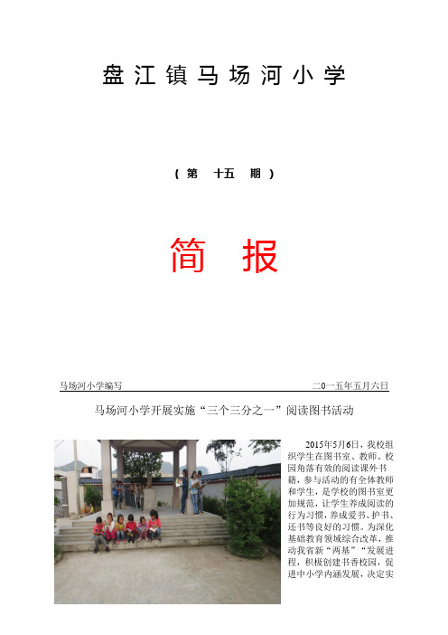 简报15