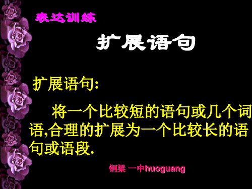 高考复习语言表达训练扩展语句优秀课件