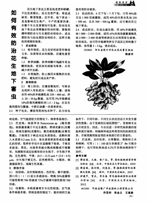 如何有效防治花生地下害虫