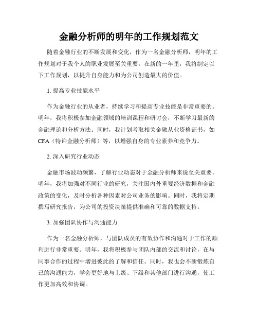 金融分析师的明年的工作规划范文