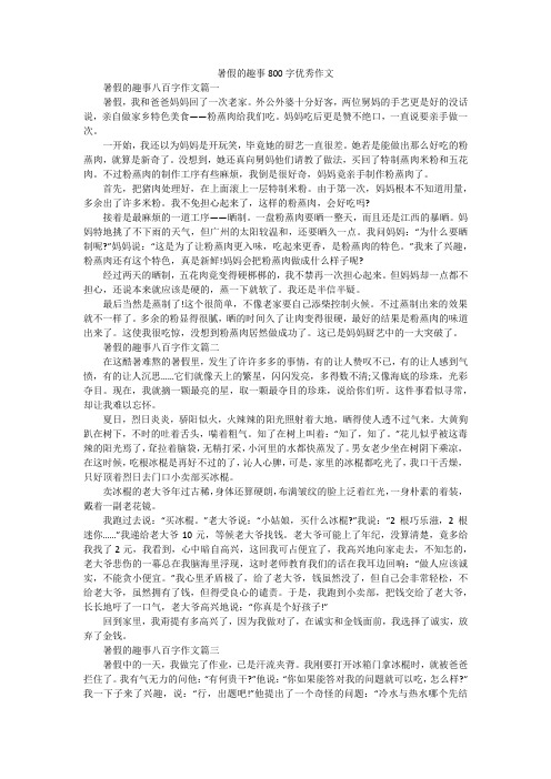 暑假的趣事800字优秀作文