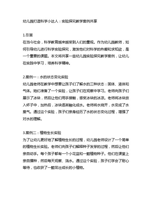 幼儿园打造科学小达人：实验探究教学案例分享