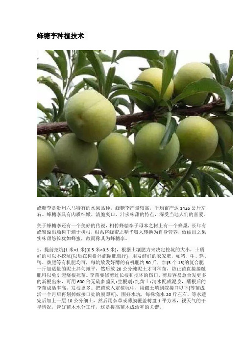 蜂糖李种植技术