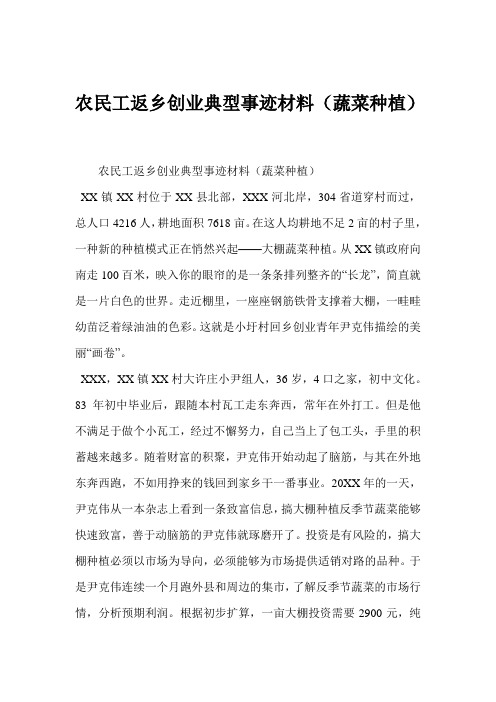 农民工返乡创业典型事迹材料(蔬菜种植)