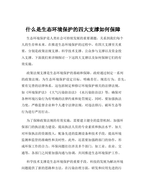 什么是生态环境保护的四大支撑如何保障