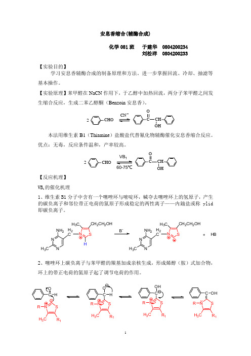 安息香缩合(辅酶合成)