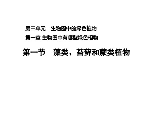 人教版七年级生物第3单元生物圈中的绿色植物第1章生物圈中有哪些绿色植物练习习题