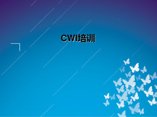 CWI培训内部教程格式全套-基础部分