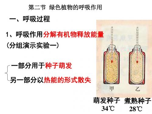 人教版七年级上册生物  3.5.2 绿色植物的呼吸作用 课件   (共17张PPT)