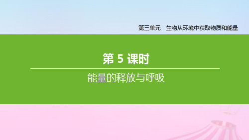 七年级生物上册第三单元生物从环境中获取物质和能量第05课时能量的释放与呼吸课件(新版)苏科版