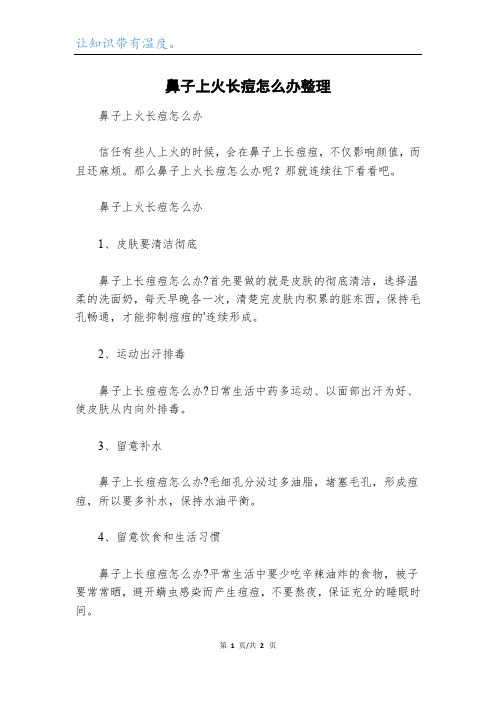 鼻子上火长痘怎么办整理