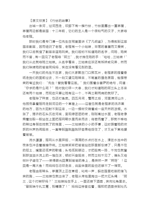 高二语文必修二《竹林的故事》知识点及同步练习题