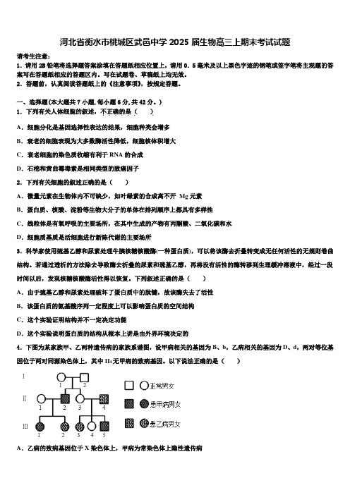 河北省衡水市桃城区武邑中学2025届生物高三上期末考试试题含解析