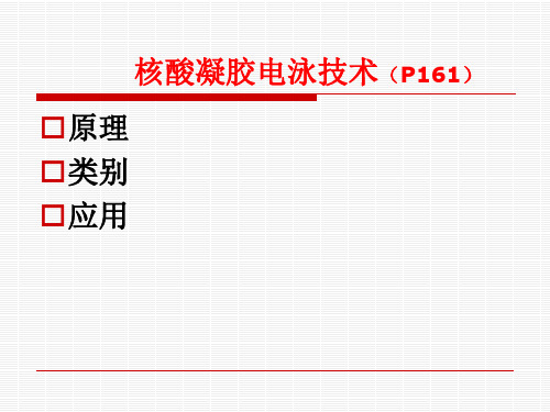 核酸电泳技术