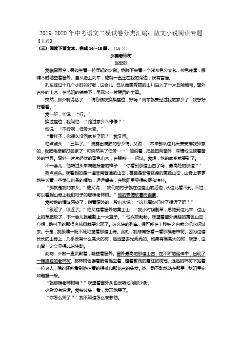 2019-2020年中考语文二模试卷分类汇编：散文小说阅读专题