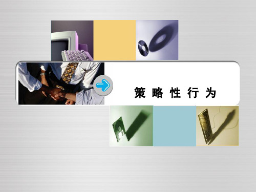 策略性行为
