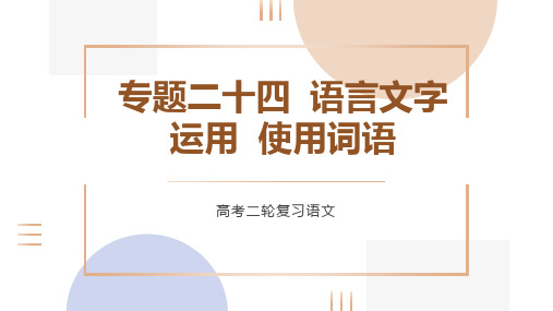 语言文字运用使用词语课件(共28张PPT)-2023年高考语文二轮复习