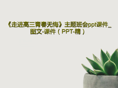 《走进高三青春无悔》主题班会ppt课件_图文-课件(PPT-精)90页PPT