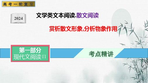 文学类阅读-赏析散文形象,分析物象作用象 新高考语文一轮复习