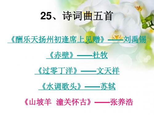 25.《诗词曲五首》
