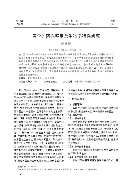 黄伞的菌株鉴定及生物学特性研究